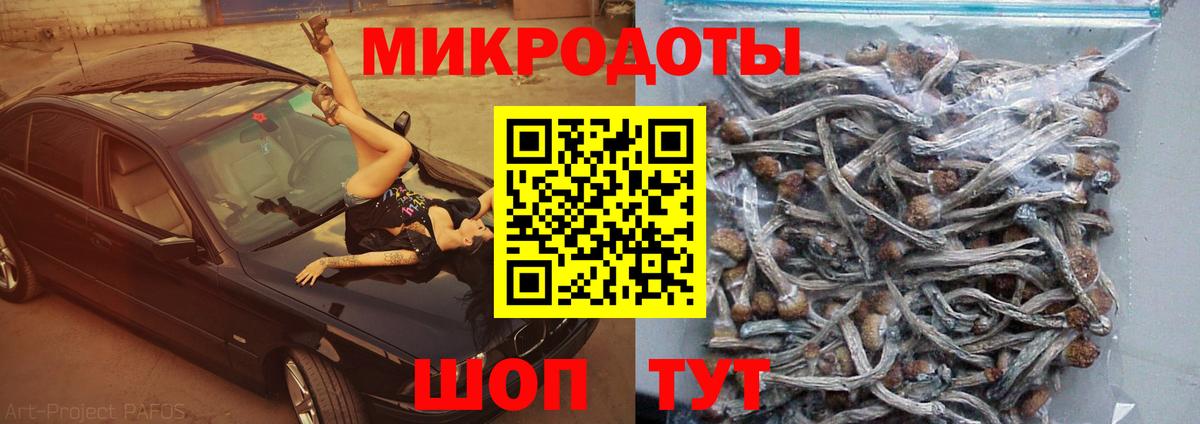 Псилоцибиновые грибы прущие грибы  Вход с VPN  купить закладку  Сосновый Бор 